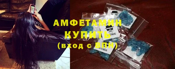 гашик Пересвет