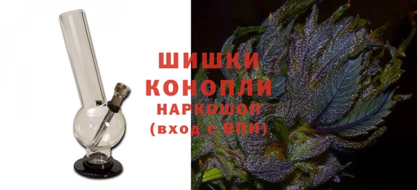 дживик Пестово