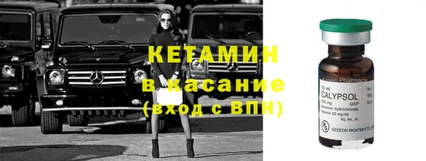 гашик Пересвет