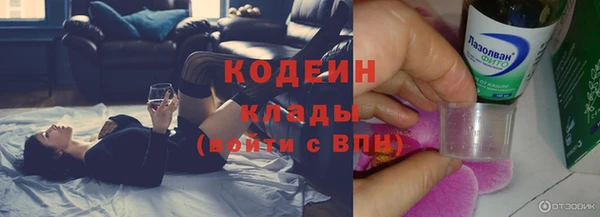 дживик Пестово