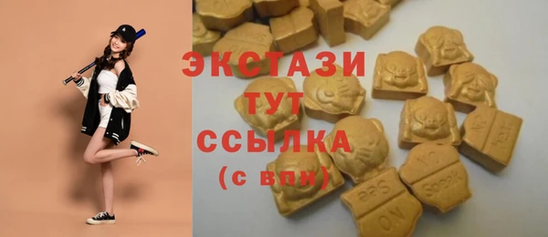 гашик Пересвет