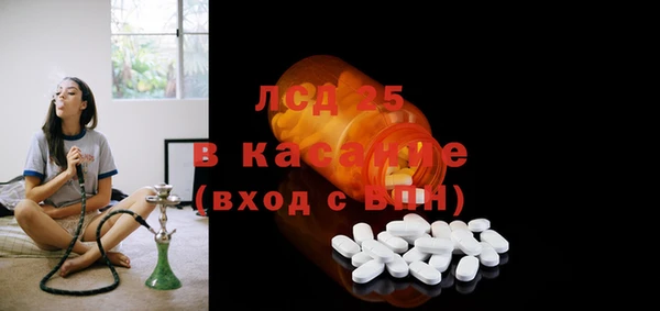 гашик Пересвет