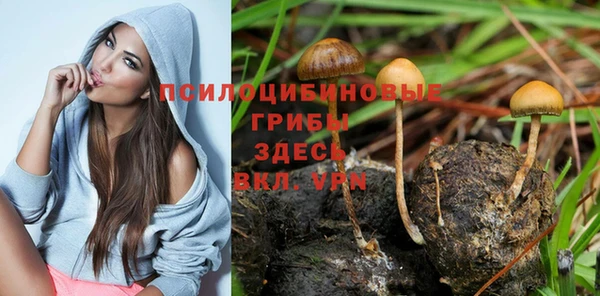 дживик Пестово