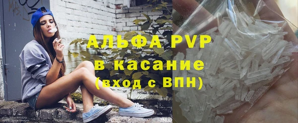 гашик Пересвет