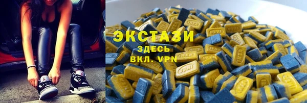 гашик Пересвет