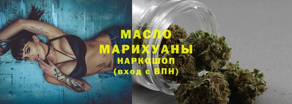 гашик Пересвет
