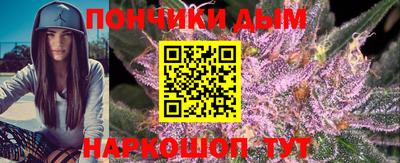 шишки Заводоуковск