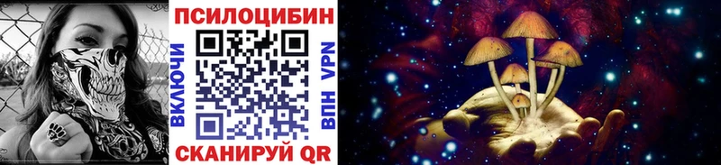Псилоцибиновые грибы Psilocybine cubensis  даркнет сайт  гидра как зайти  Кудрово 