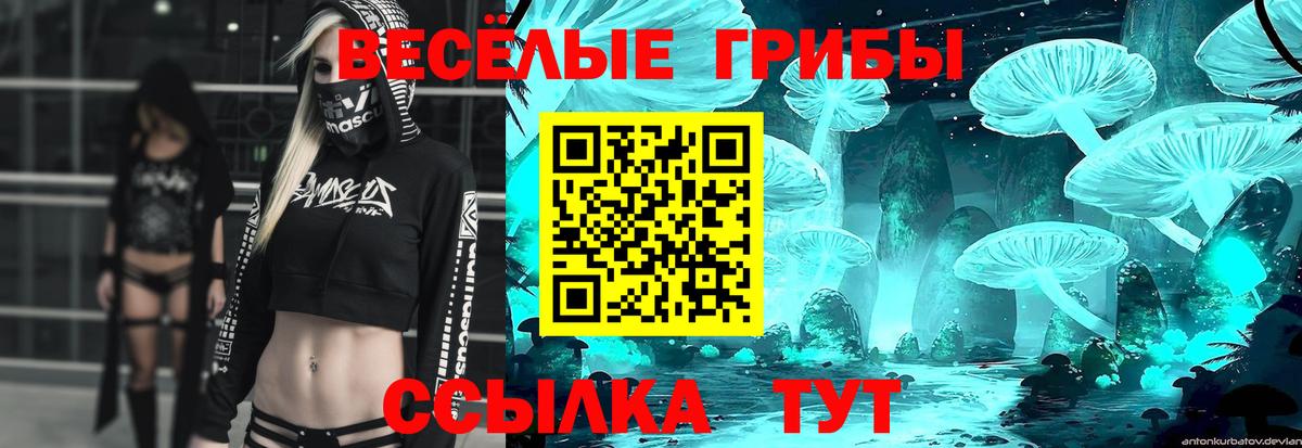 Псилоцибиновые грибы Psilocybe  Вход с VPN  Кудрово 