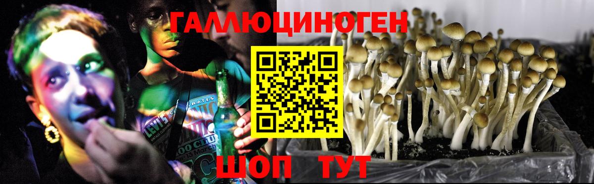 Галлюциногенные грибы Magic Shrooms Кудрово